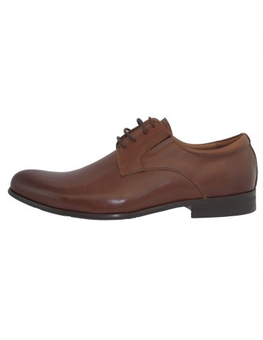 Pantofi eleganti barbati, piele naturala, marca Eldemas, Cod 2811-1BS-16-24, culoare maro